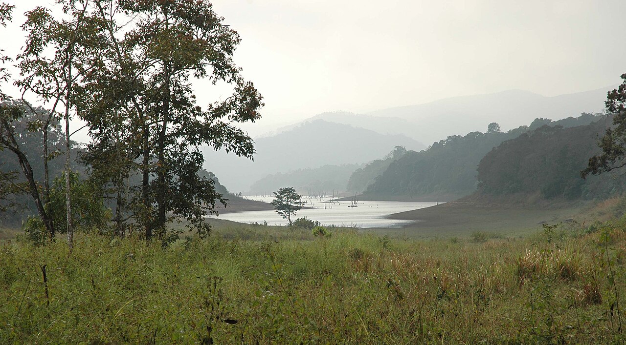 Kerala Wildlife Periyar Tour Package — 3N / 4D tour package