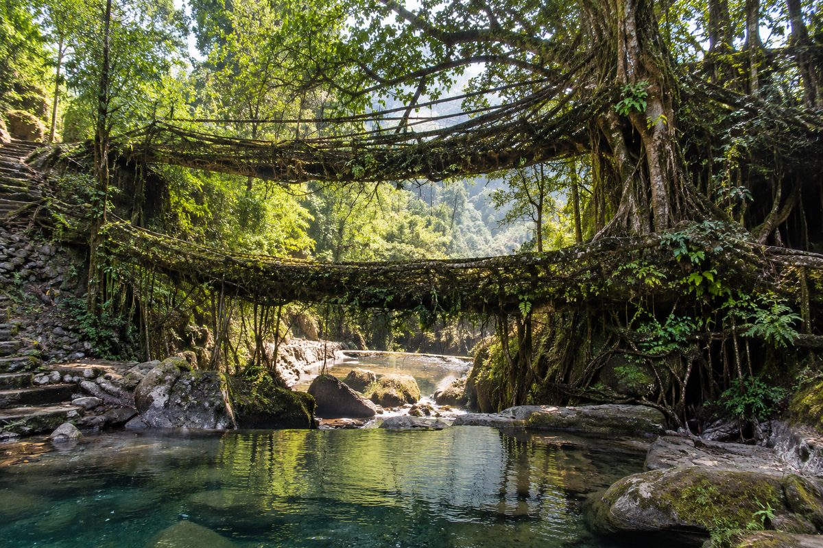 Meghalaya Shillong Cherrapunji Tour Package from Kerala — 5N / 6D tour package
