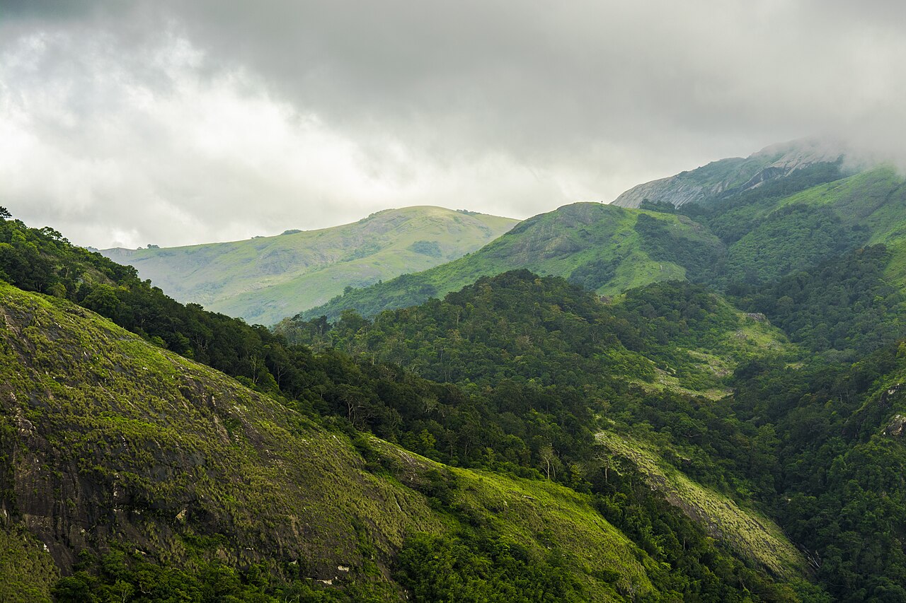 Silent Valley Nelliyampathy Tour Package — 3N / 4D tour package