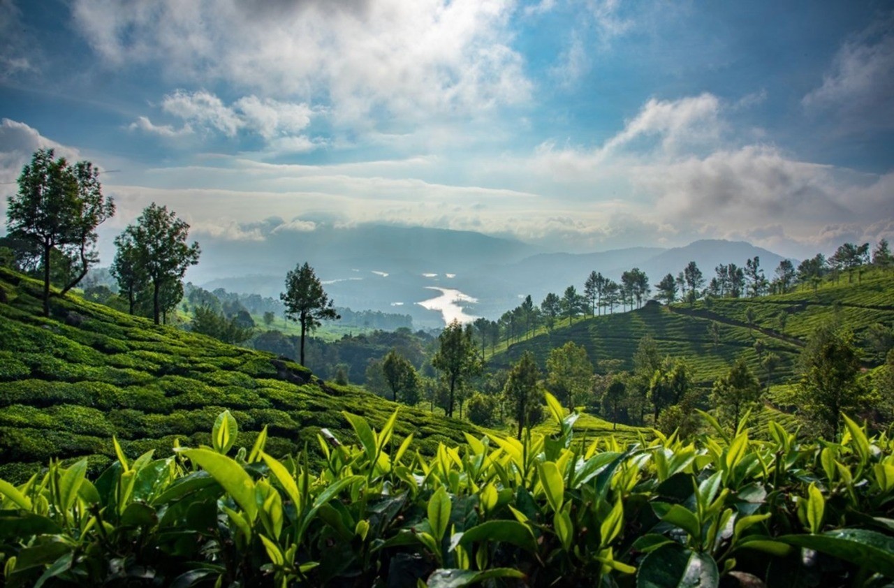 2 Nights 3 Days Munnar — 2N / 3D tour package