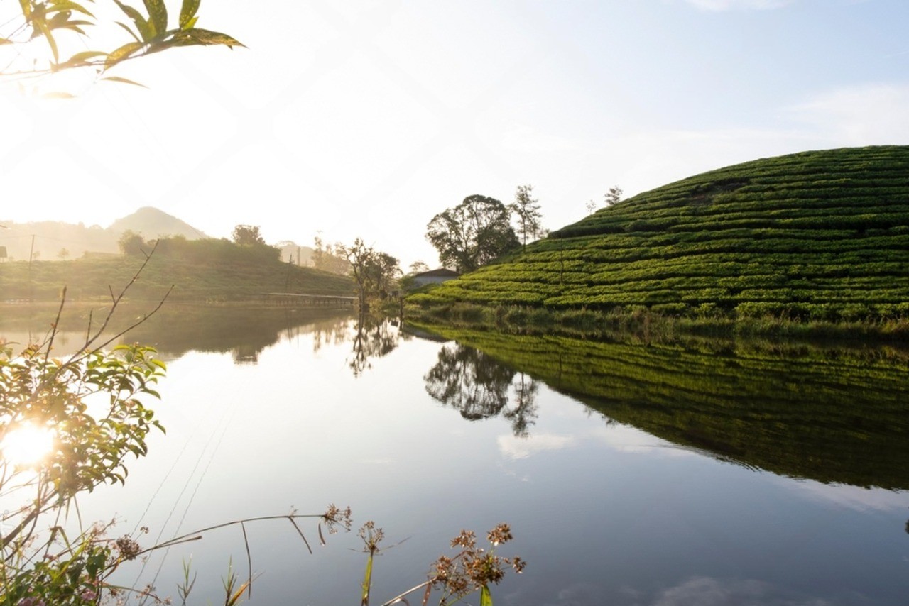 2 Nights 3 Days Thekkady Vagamon — 2N / 3D tour package