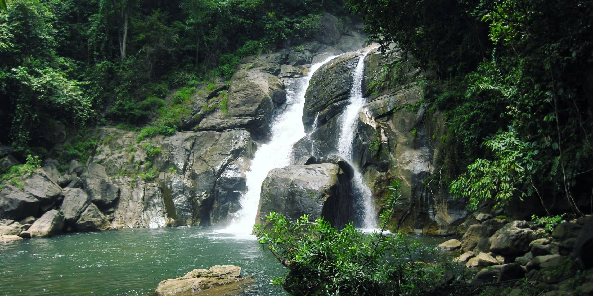 Cover image for Meenmutty Waterfalls Wayanad: Complete Trekking Guide with Soochipara Falls (2026)