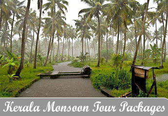 Kerala Monsoon Tour Packages