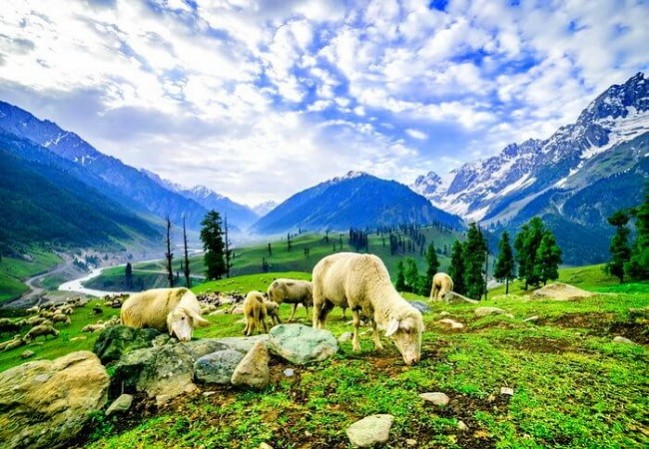 7 Days Kashmir Tour Packages from Kerala