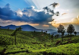 2-nights-3-days-munnar-tour-package